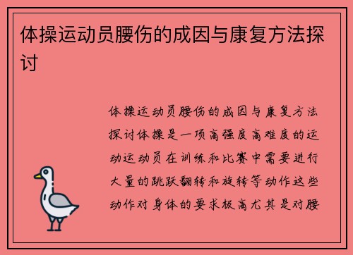 体操运动员腰伤的成因与康复方法探讨